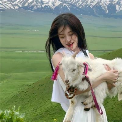 神探特伦特第二季